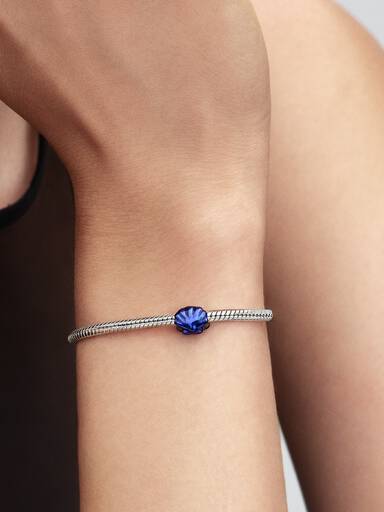 Blue Shell Mini Charm