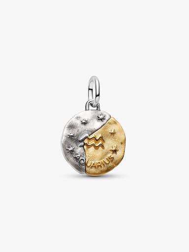 Aquarius Zodiac Medallion Charm
