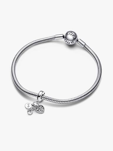 Family Infinity Triple Dangle Charm