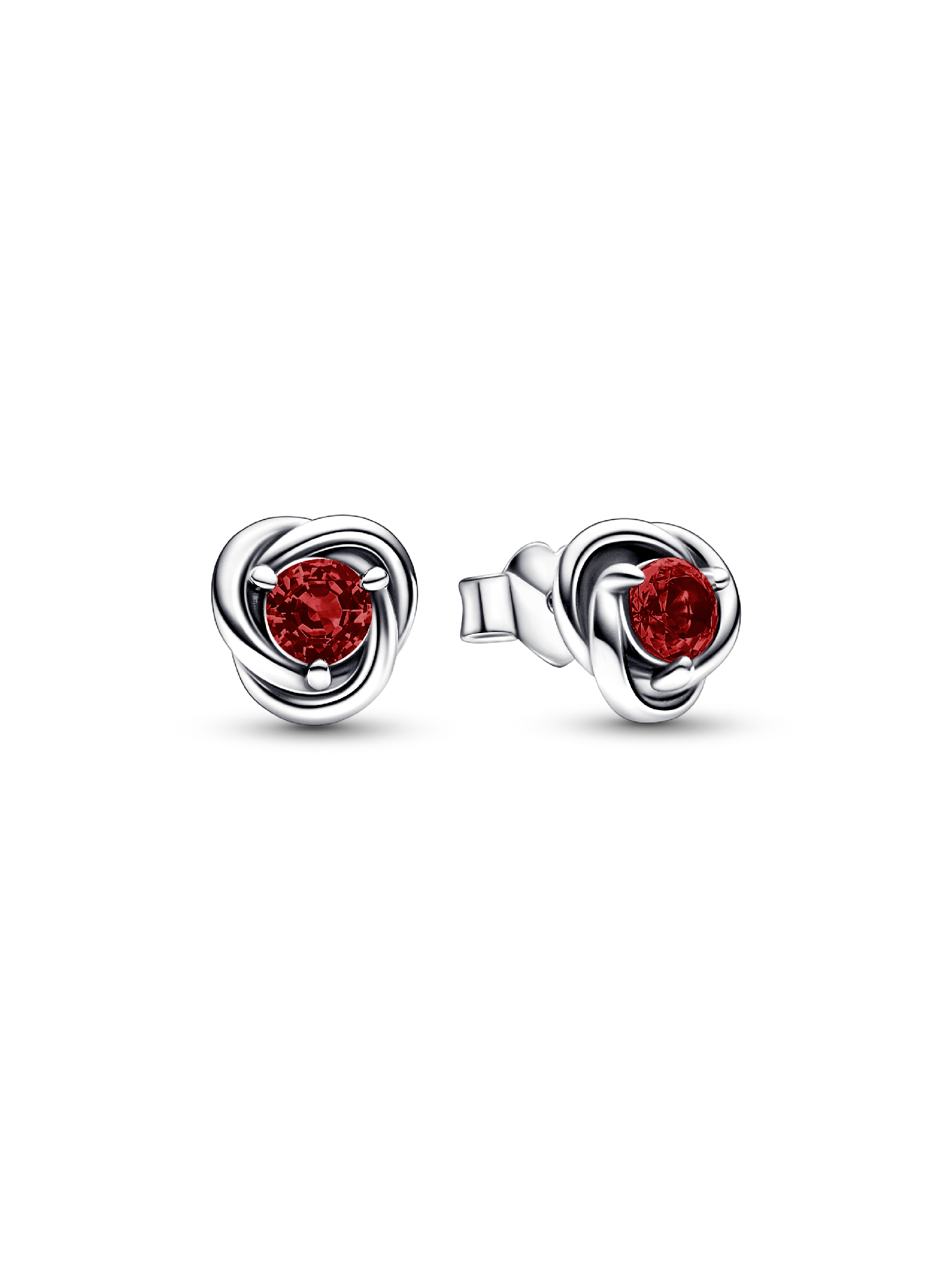 January Birthstone Eternity Circle Stud Earrings