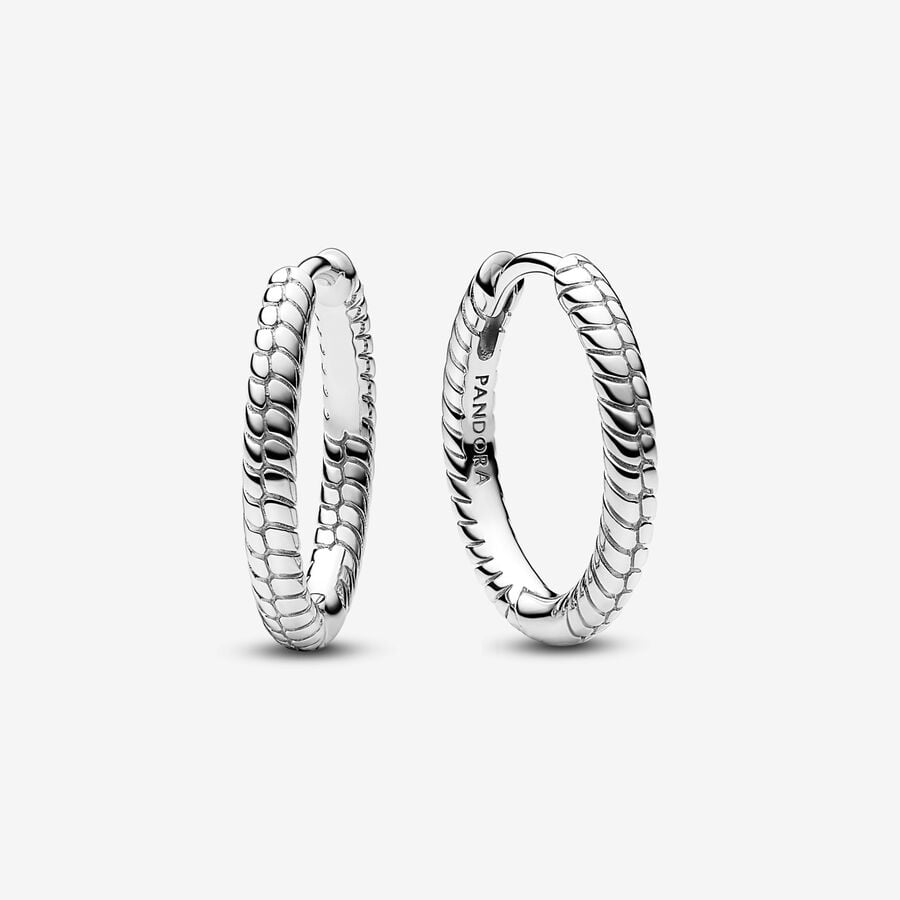 Pandora Moments Small Charm Hoop Earrings image number 0