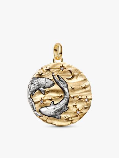 Pisces Oversized Talisman Pendant Necklace