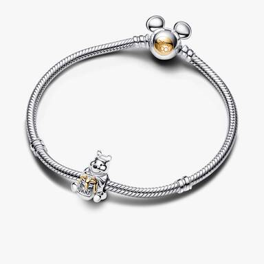 Disney 100th Anniversary Winnie the Pooh Charm & Bracelet Gift Set
