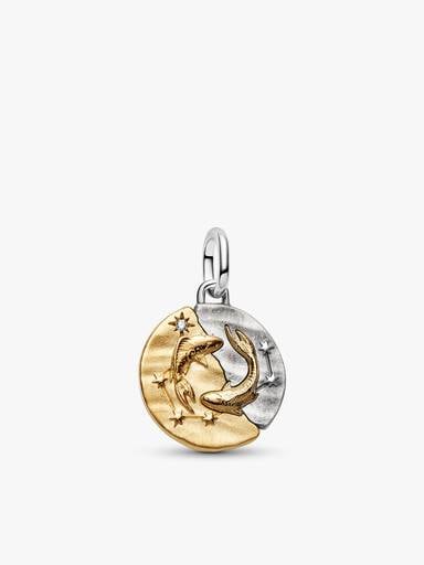 Pisces Talisman Charm & Bracelet Set