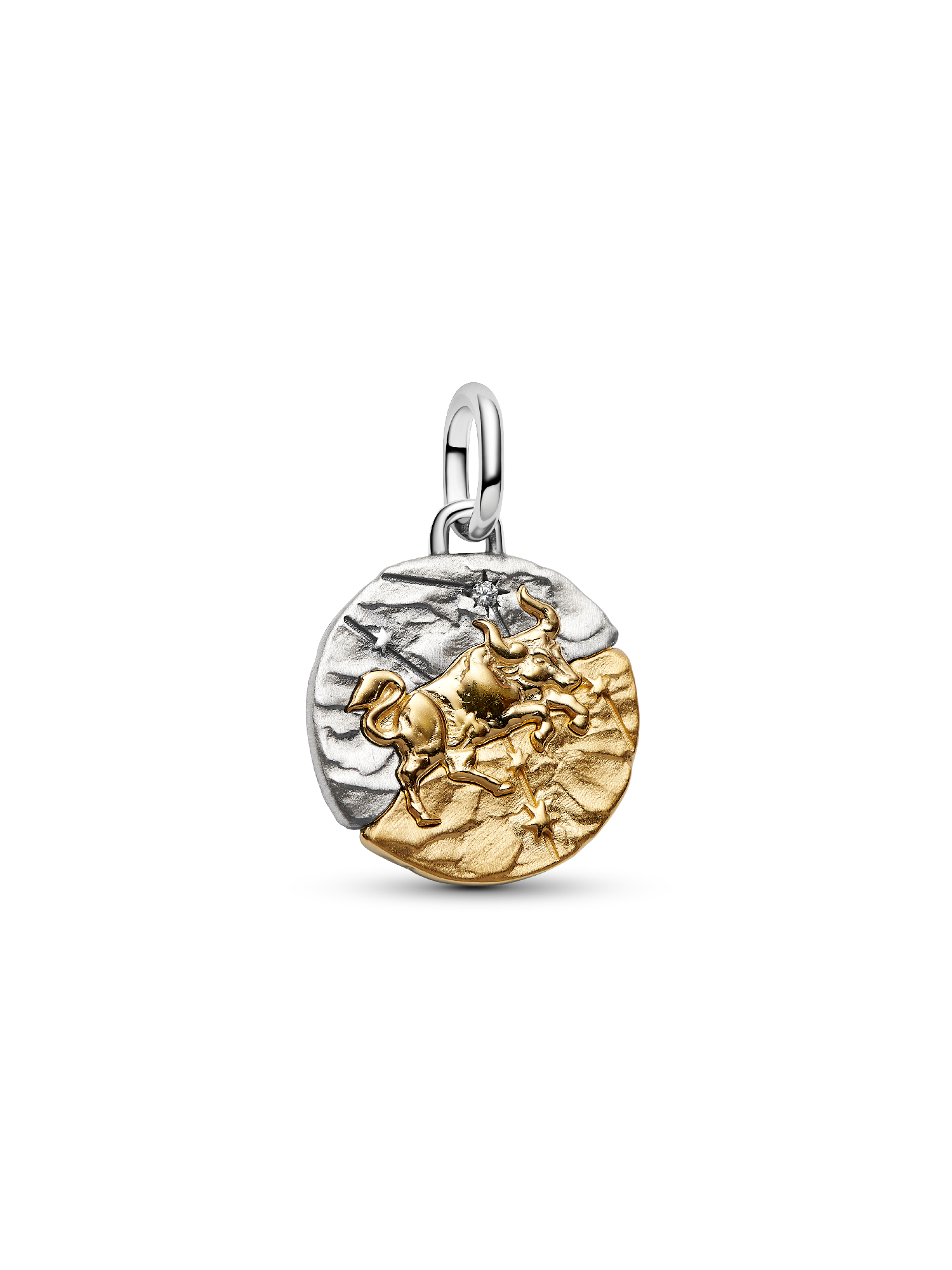 Taurus Zodiac Medallion Charm