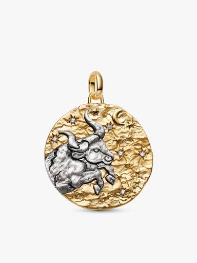Taurus Oversized Talisman Pendant Necklace