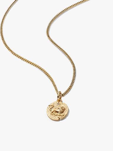 Lion Medallion Charm Necklace Set