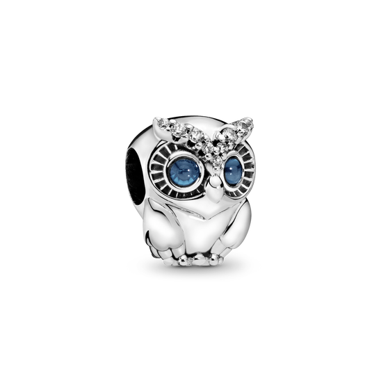 Sparkling Owl Charm