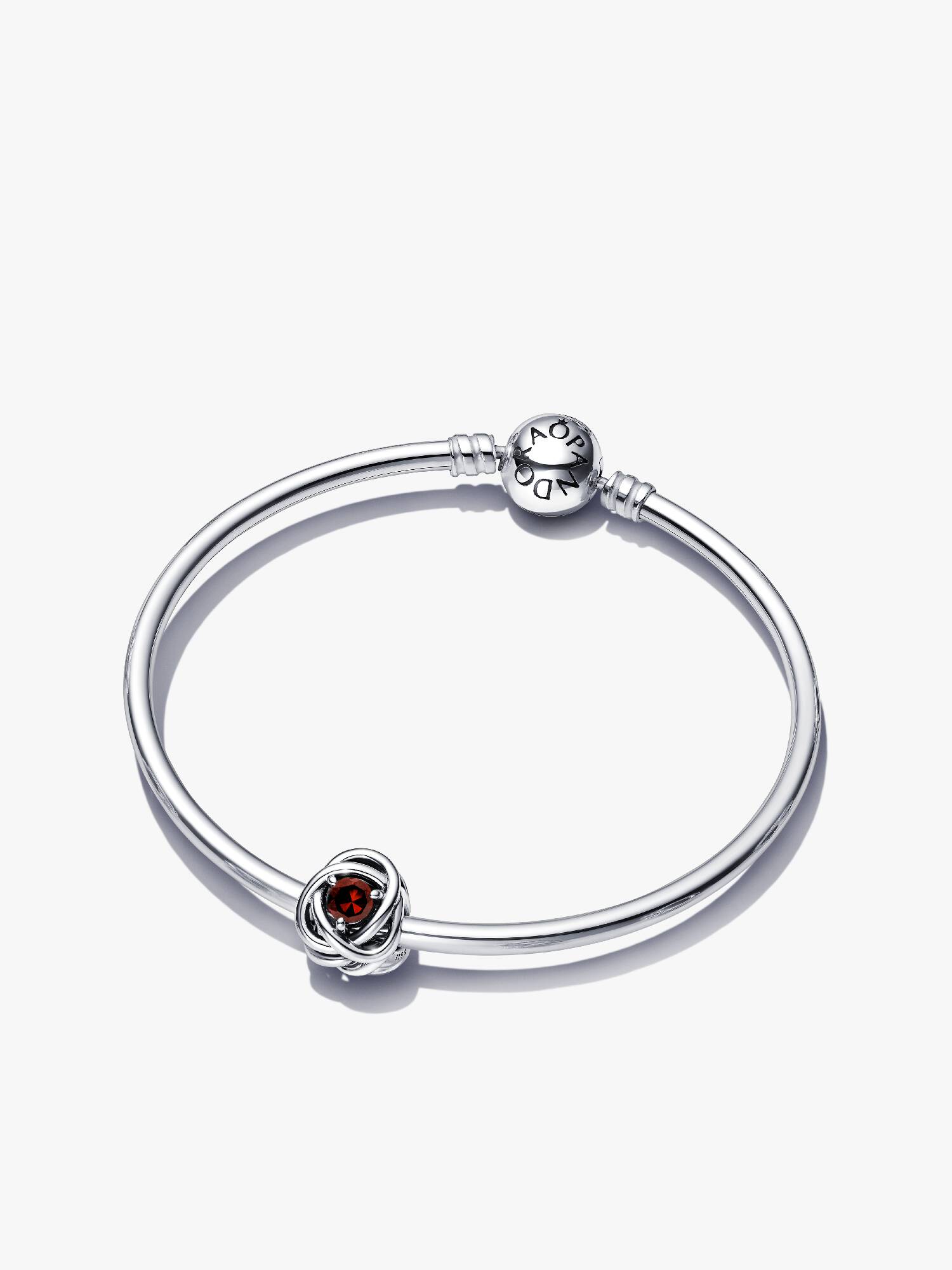 January Birthstone Eternity Circle Bangle Gift Set