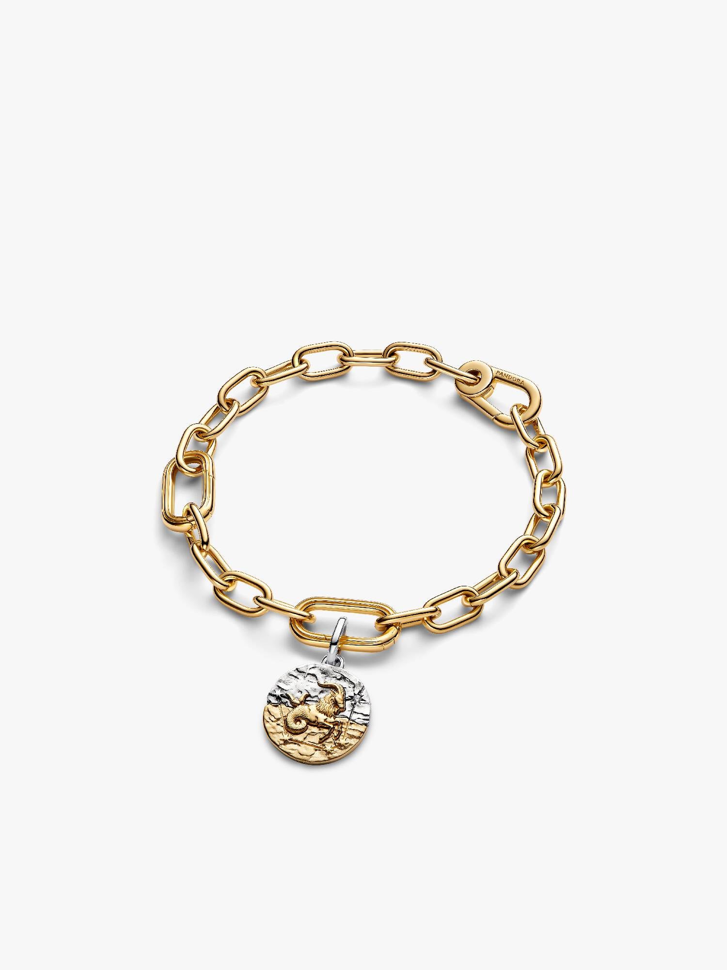 Capricorn Talisman Charm & Bracelet Set