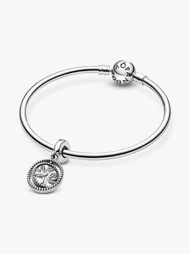 Spinning Family Tree Dangle Charm