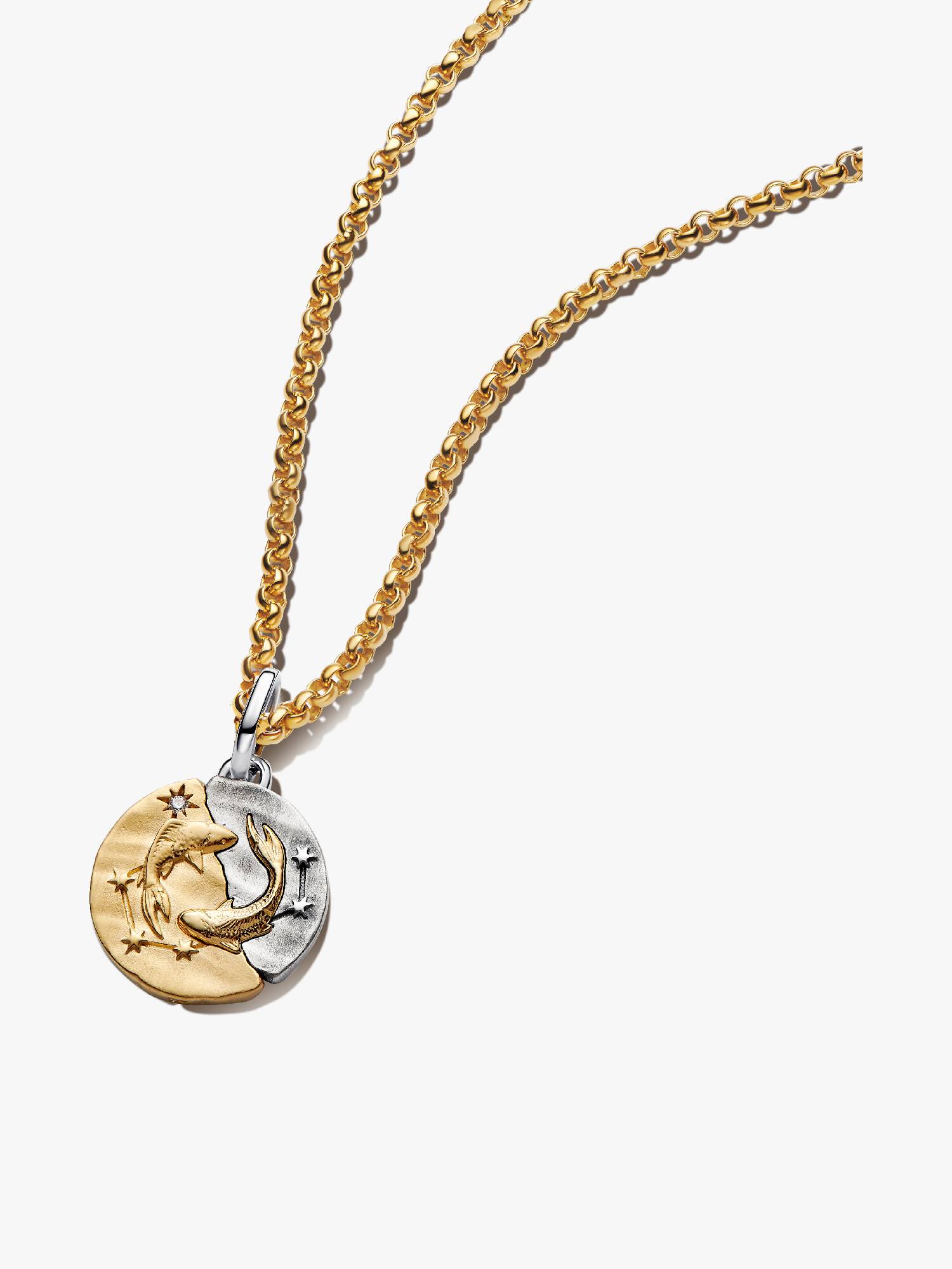 Pisces Talisman Pendant Necklace