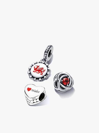 Best of Wales Charm Set