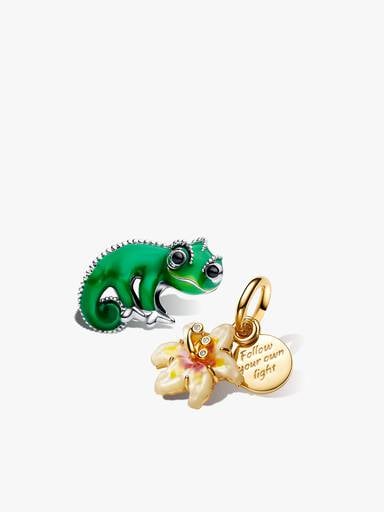 Disney Tangled Charm Duo
