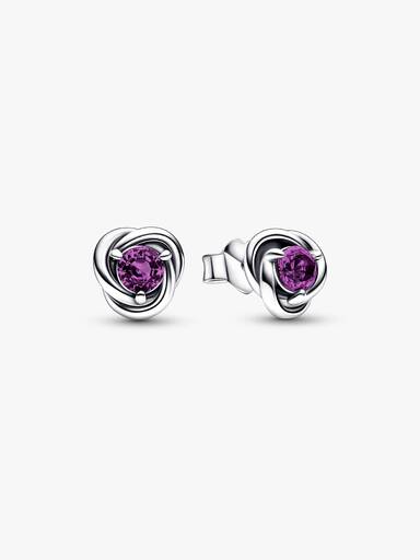 February Birthstone Eternity Circle Stud Earrings