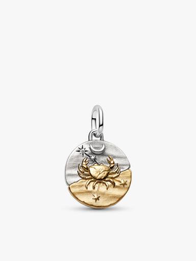 Cancer Talisman Charm & Bracelet Set