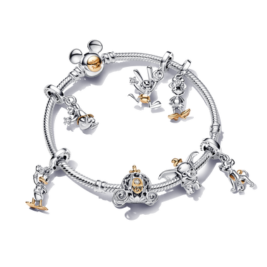 Complete Disney100 Anniversary Bracelet Set