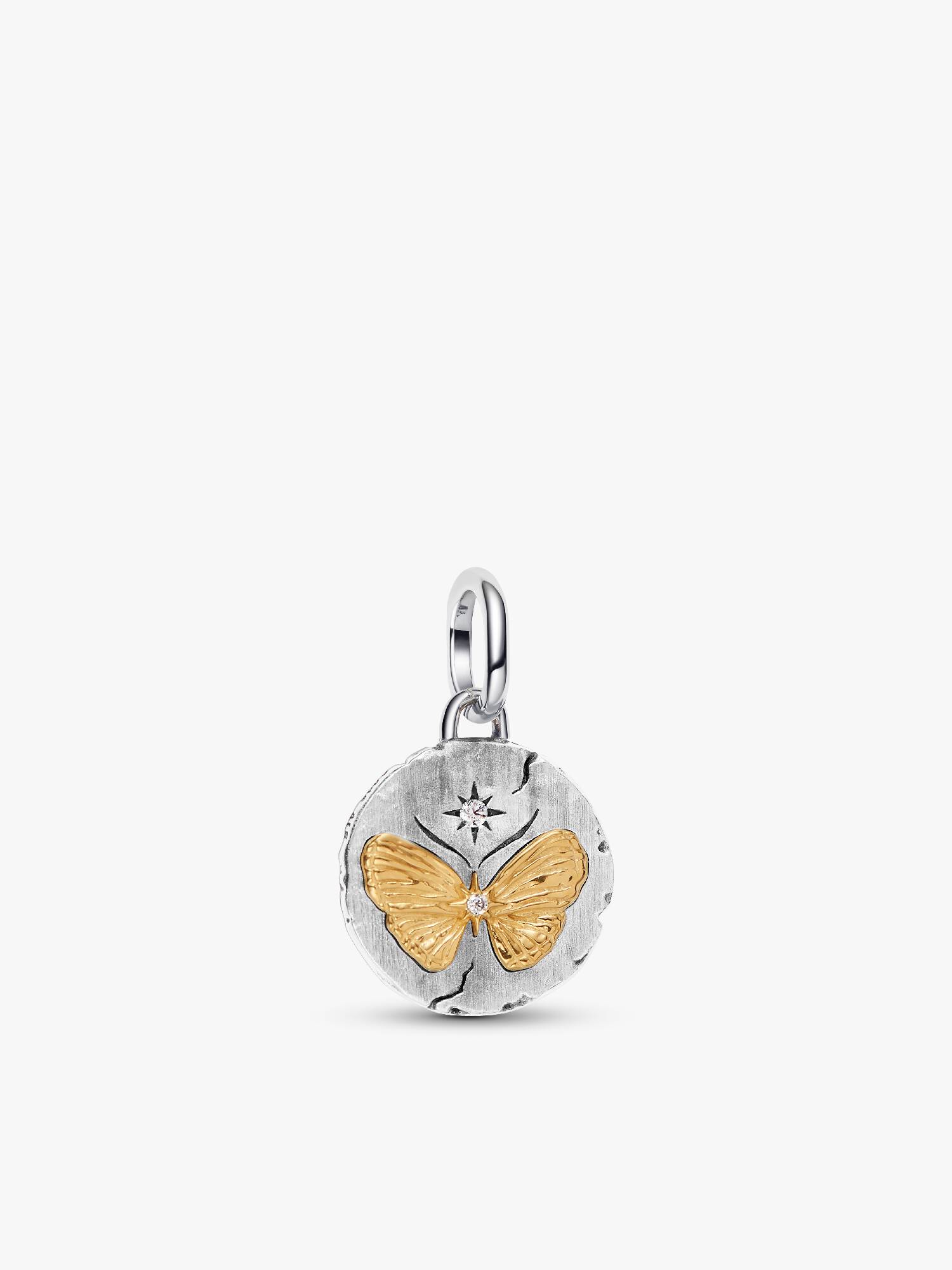 Butterfly Medallion Charm