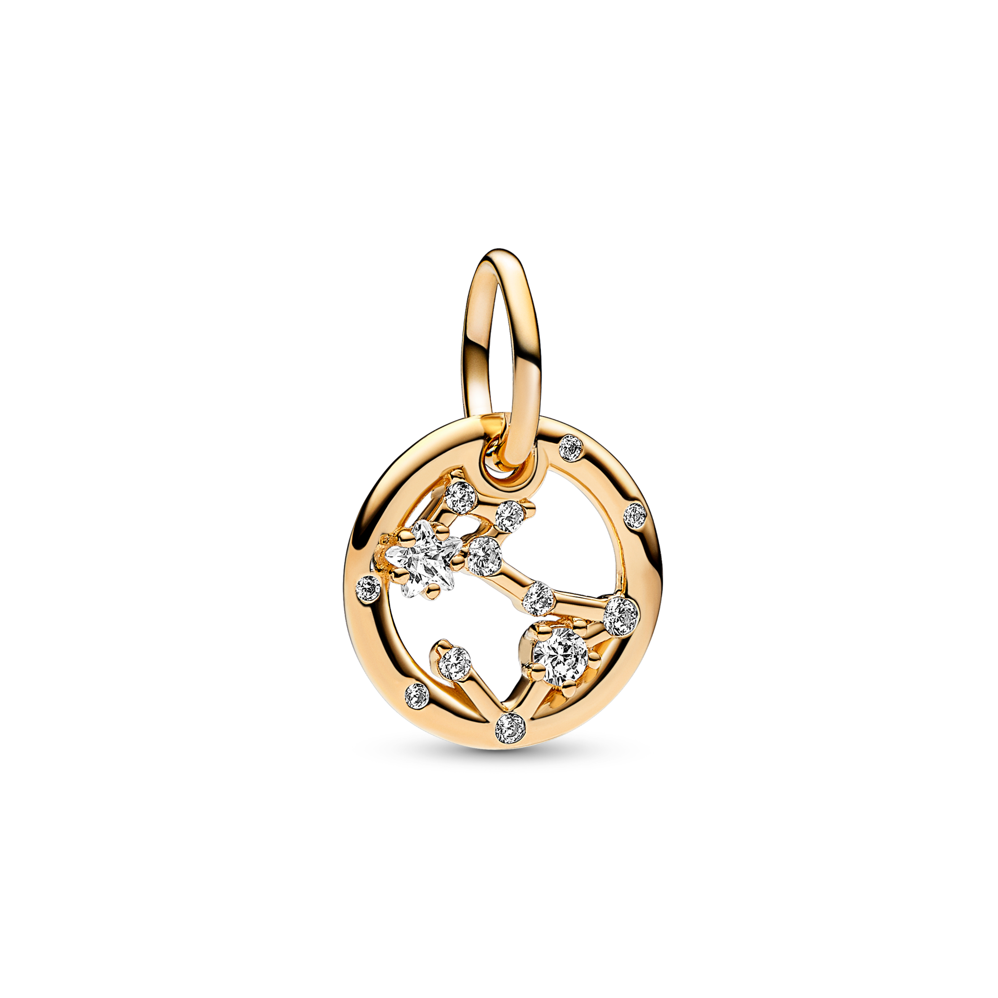 Pisces Zodiac Dangle Charm