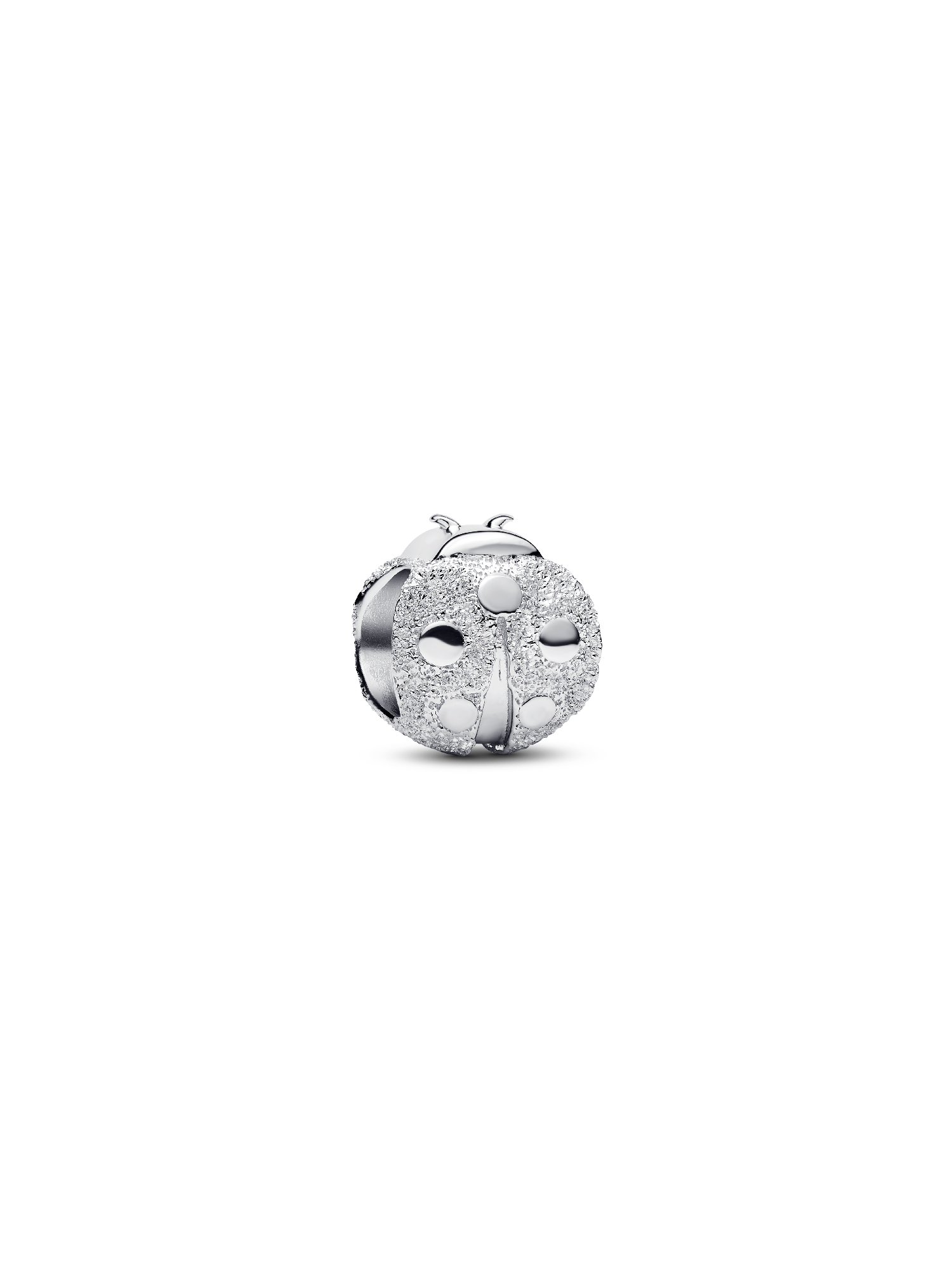 Textured Ladybird Mini Charm