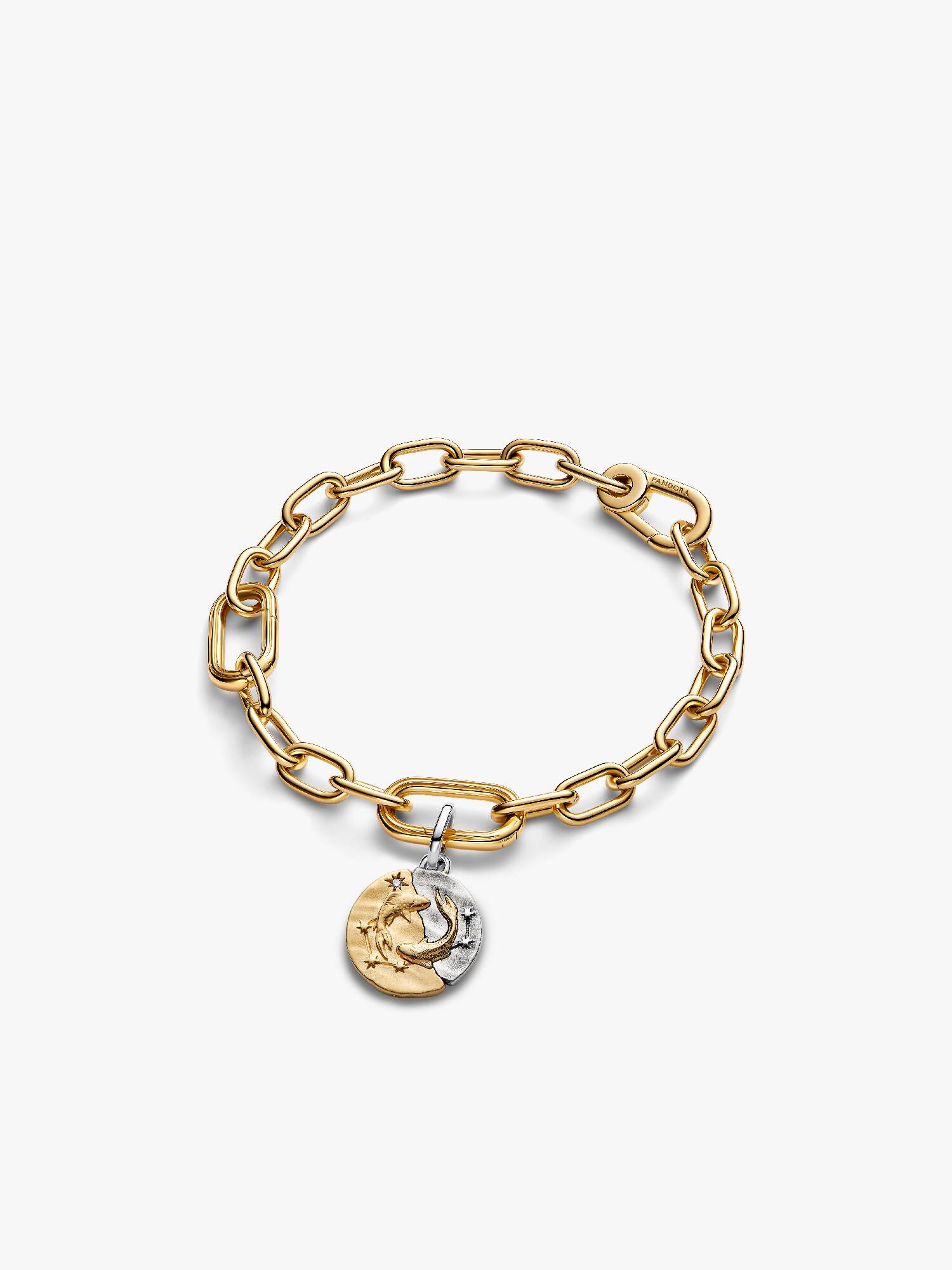 Pisces Talisman Charm & Bracelet Set