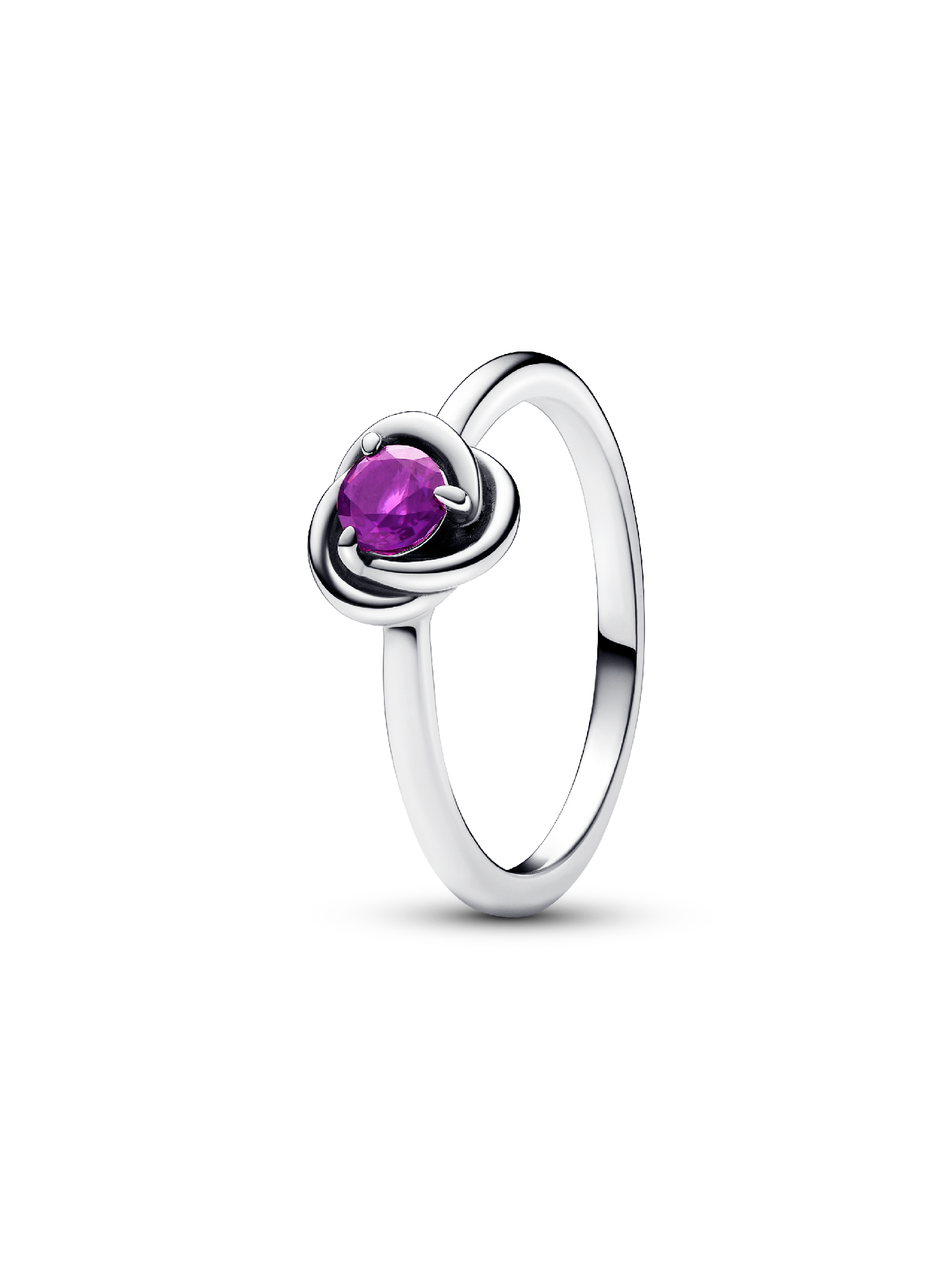 February Birthstone Eternity Circle Ring