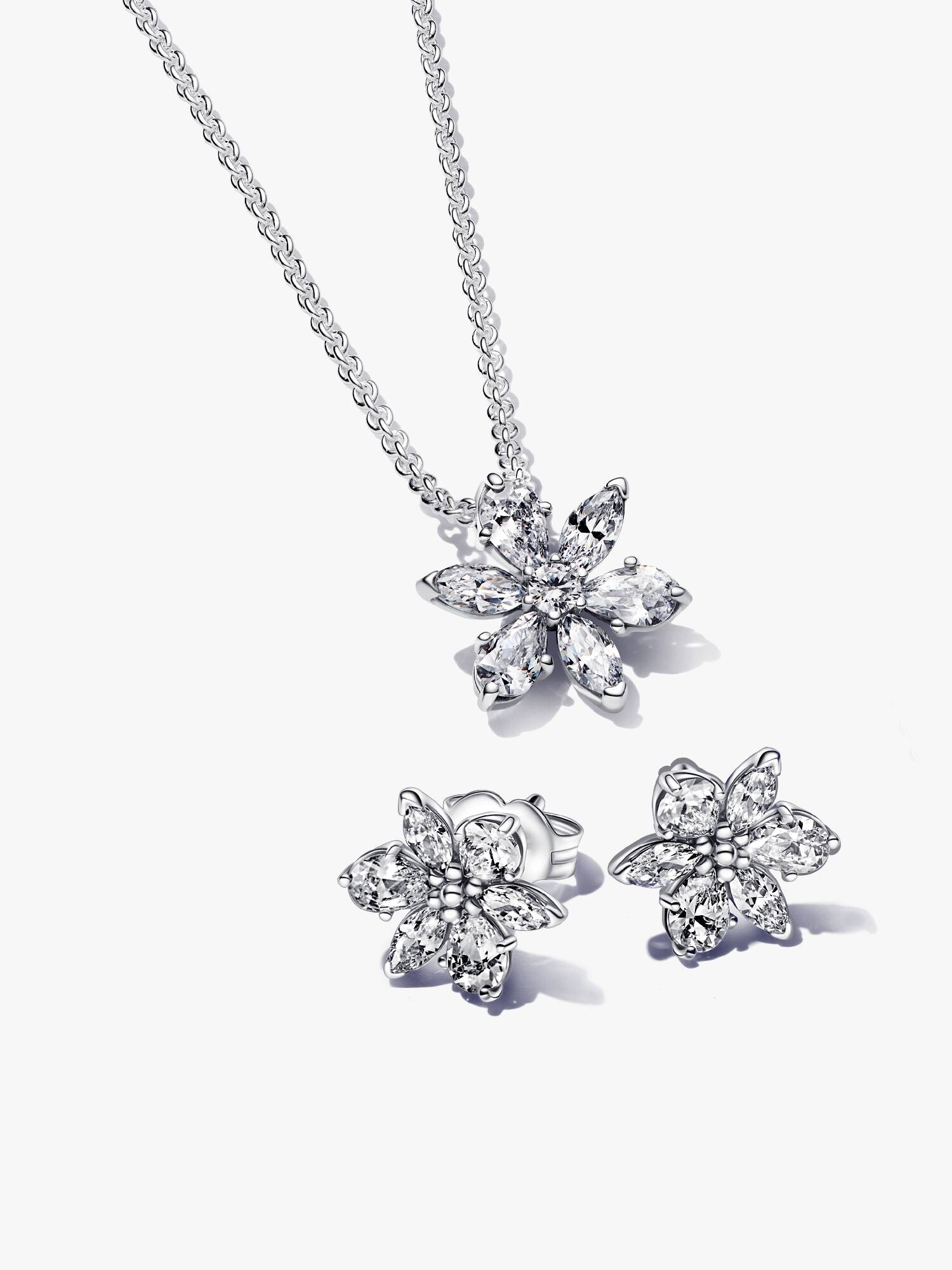 Sparkling Herbarium Set