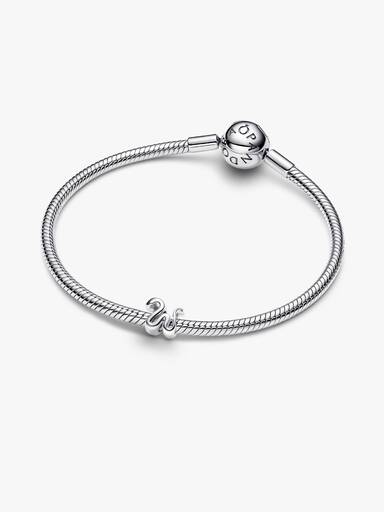 Snake Mini Charm