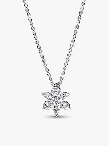 Sparkling Herbarium Set