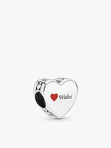 Best of Wales Charm Set