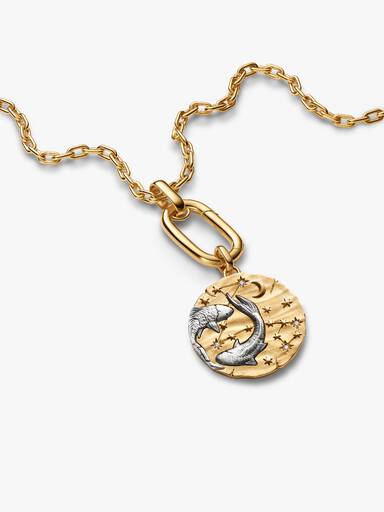 Pisces Oversized Talisman Pendant Necklace